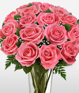 Perfect Pink Roses 12 Roses + 8 Free
