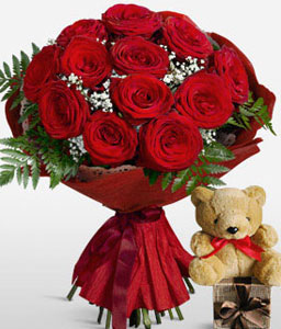 Red Hot Cuddles <Br><span>12 Red Roses And Free Teddy</span>