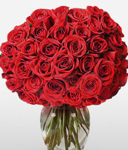 Scarlet Elegance <Br><span>50 Long Stem Roses</span>