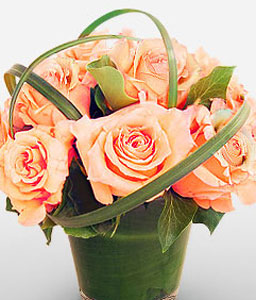 Peaches And Pastels <Br><span>6 Peach Roses</span>