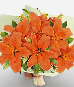 Naranja Orange Lilies
