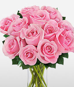 Dozen Pink Roses <span>Complimentary Vase </span>