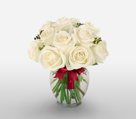 A Dozen White Roses-White,Rose,Arrangement