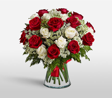 Scarlet Red N White Roses-Red,White,Rose,Arrangement,Bouquet