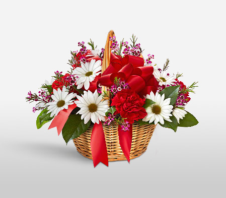 Streets Of Europe-Mixed,Red,Yellow,Carnation,Daisy,Basket