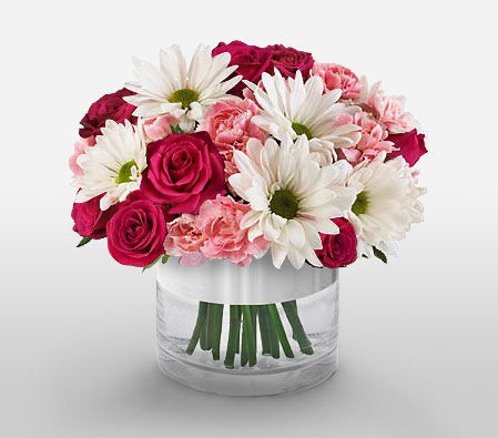 Heavenly Blooms-Pink,Red,White,Daisy,Carnation,Mixed Flower,Rose,Arrangement