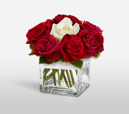 Spanish Love - Roses in Cube-Red,White,Rose,Arrangement