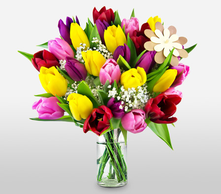 Colorful Tulips For Mum
