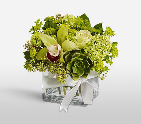Green Fiesta-Green,Mixed Flower,Orchid,Rose,Arrangement