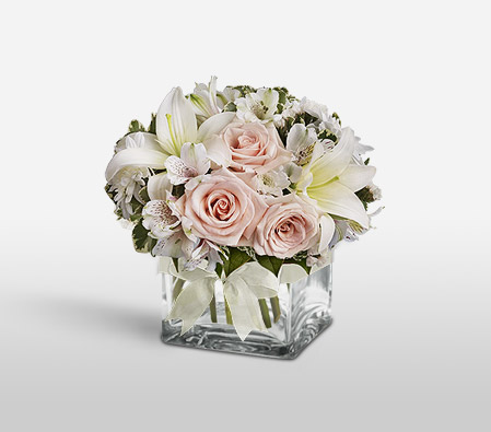 Sugar Cube <Br><span>Complimentary Vase </span>