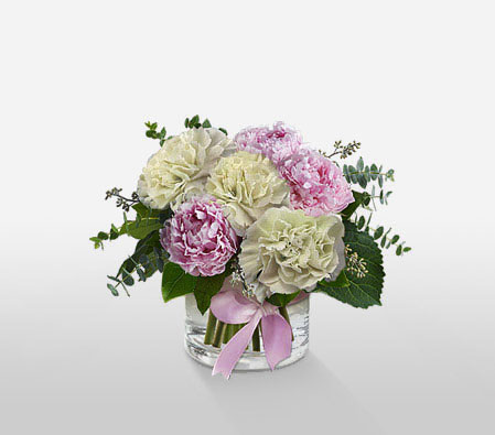Carnations And Peonies-Pink,White,Carnation,Poinsettia,Arrangement