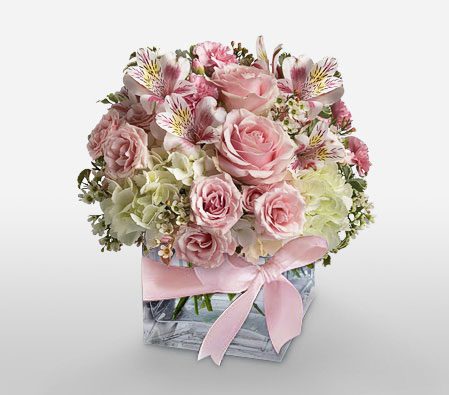 Classic Chintz-Pink,Carnation,Hydrangea,Mixed Flower,Rose,Alstroemeria,Arrangement