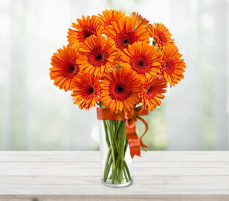 Gerbera Fantasy-Orange,Daisy,Gerbera,Bouquet
