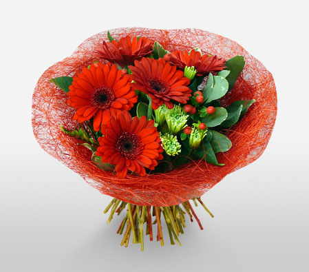 Crimson Delight-Green,Red,Daisy,Gerbera,Bouquet