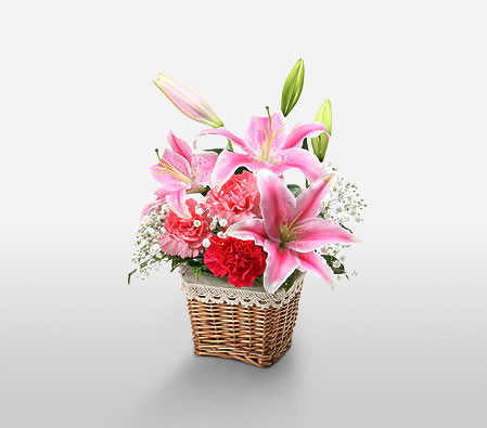 Stargazer Lilies Basket-Pink,Red,Carnation,Lily,Arrangement,Basket