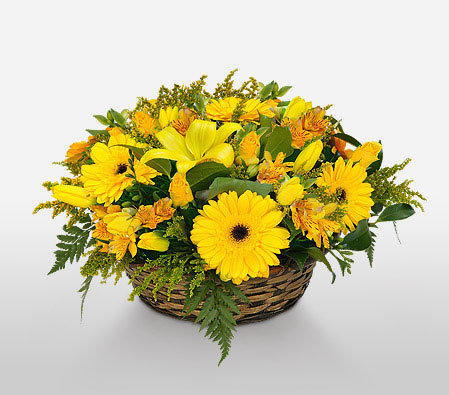 Winning Streak-Yellow,Daisy,Gerbera,Lily,Mixed Flower,Arrangement,Basket
