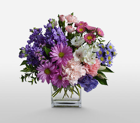 Lavender Ice-Mixed,Pink,Purple,White,Mixed Flower,Chrysanthemum,Carnation,Alstroemeria,Arrangement
