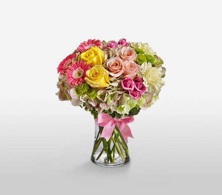 Rainbow Sorbet-Mixed,Pink,White,Yellow,Carnation,Chrysanthemum,Gerbera,Hydrangea,Mixed Flower,Rose,Arrangement