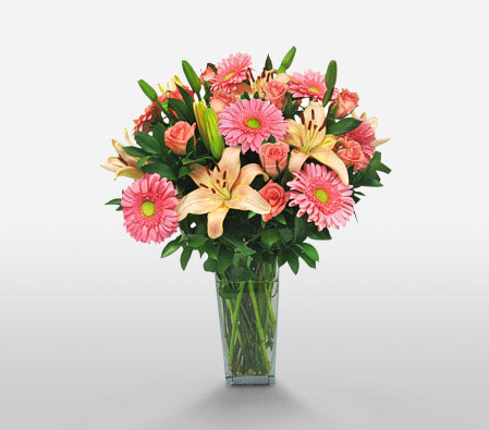 In The Pink-Pink,Daisy,Gerbera,Lily,Mixed Flower,Rose,Arrangement