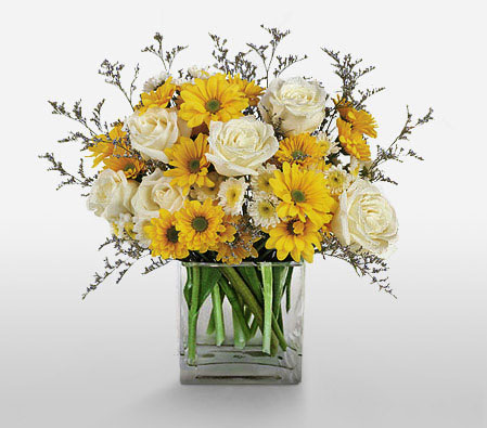 Blooming Blush-White,Yellow,Rose,Daisy,Arrangement
