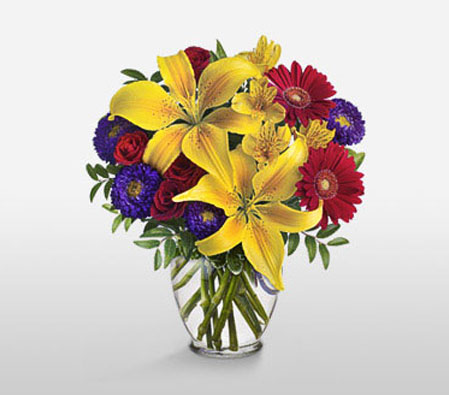 Vibrant Blooms-Mixed,Purple,Red,Yellow,Alstroemeria,Gerbera,Lily,Mixed Flower,Rose,Arrangement