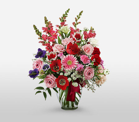 Floral Delight-Mixed,Pink,Purple,Red,White,Mixed Flower,Gerbera,Chrysanthemum,Carnation,Rose,Arrangement