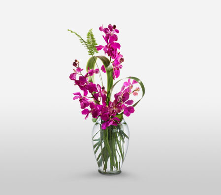 Ebullience-Purple,Orchid,Arrangement