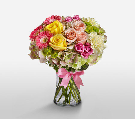 Rainbow Sorbet-Mixed,Peach,Pink,White,Yellow,Carnation,Chrysanthemum,Daisy,Gerbera,Hydrangea,Mixed Flower,Rose,Arrangement