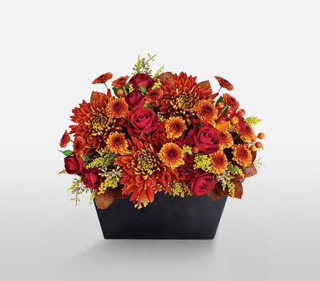 Sunset Charm-Orange,Red,Carnation,Chrysanthemum,Rose,Arrangement