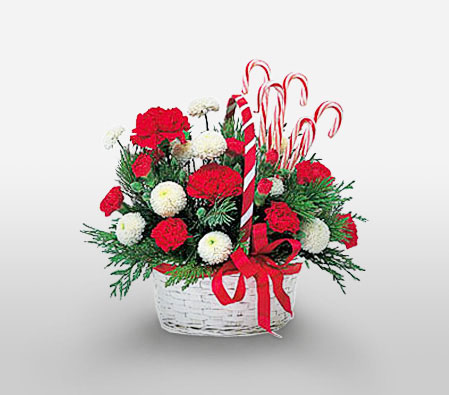 Christmas Candy Basket-Green,Red,White,Carnation,Mixed Flower,Arrangement,Basket