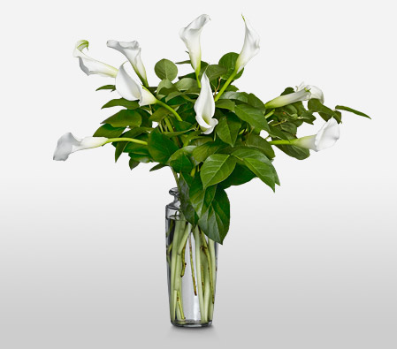 Snowflakes <Br><span>Complimentary Clear Vase </span>