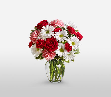 Enchanting Arrangement-Peach,Red,White,Carnation,Chrysanthemum,Rose,Arrangement