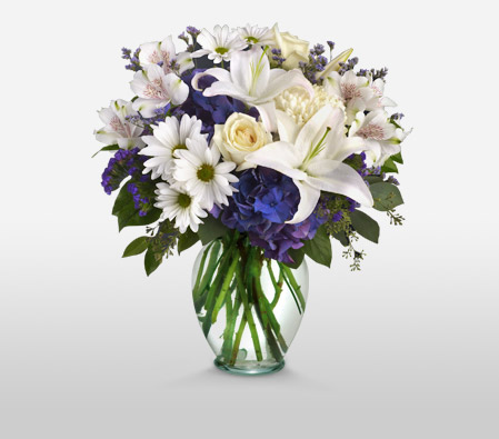 Posh-Blue,White,Alstroemeria,Chrysanthemum,Hydrangea,Lily,Mixed Flower,Rose,Arrangement