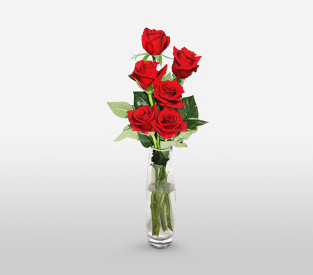 Say It With Six Red Roses-Red,Rose,Arrangement