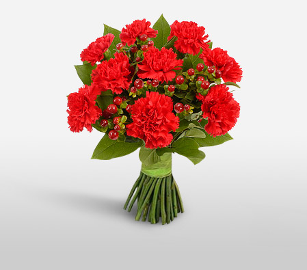 Red Passion-Red,Carnation,Bouquet