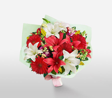 Floral Choral-Red,White,Daisy,Gerbera,Lily,Bouquet