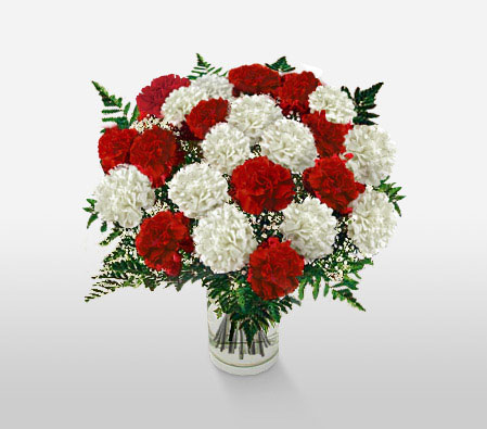 Carnation Fascination-Red,White,Carnation,Bouquet