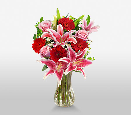 Majestic Glee-Pink,Red,Daisy,Gerbera,Lily,Rose,Arrangement