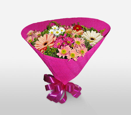 Rosa Myriad-Mixed,Pink,Mixed Flower,Bouquet