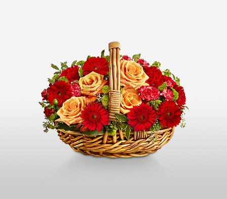 Chianti-Orange,Red,Carnation,Daisy,Gerbera,Rose,Arrangement,Basket