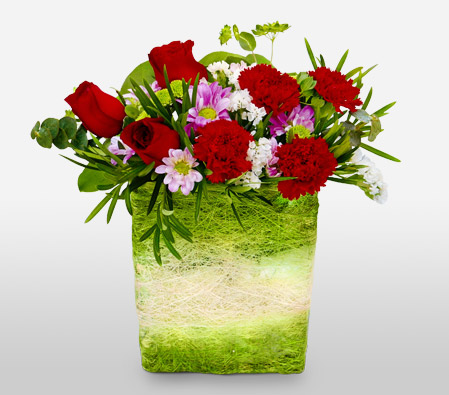 Chloe-Green,Red,Carnation,Rose,Arrangement