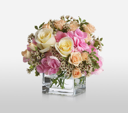 Aglow-Mixed,Peach,Pink,White,Hydrangea,Mixed Flower,Rose,Arrangement