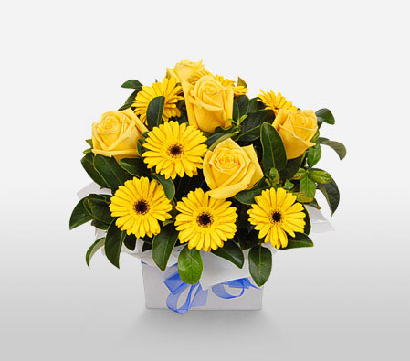 Bright Sunshine-Yellow,Gerbera,Rose,Arrangement
