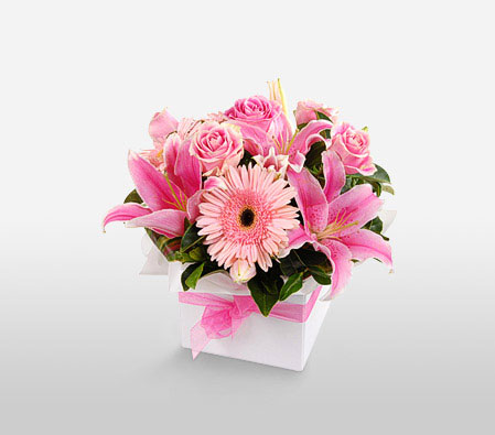 Lush Pink-Pink,Gerbera,Lily,Mixed Flower,Rose,Arrangement