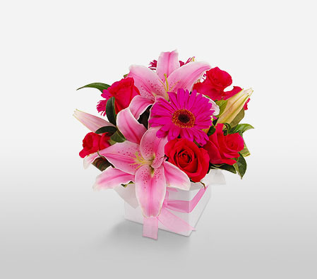 Bright Wonder-Pink,Red,Gerbera,Lily,Mixed Flower,Rose,Arrangement