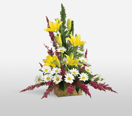 Tribute-Mixed,White,Yellow,Daisy,Lily,Mixed Flower,Arrangement