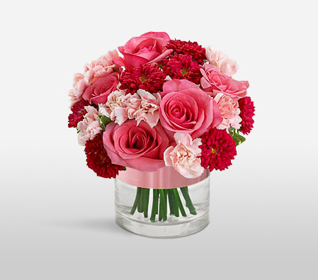 Charm-Mixed,Pink,Red,Carnation,Gerbera,Mixed Flower,Rose,Arrangement