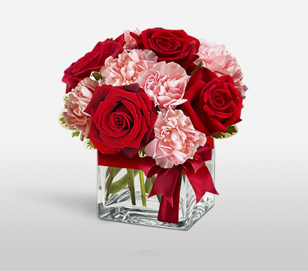 Jaime
Roses & Carnations in a Cube-Pink,Red,Carnation,Mixed Flower,Rose,Arrangement