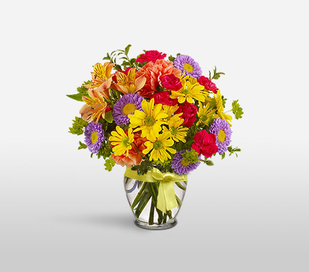 Spring Flowers-Mixed,Purple,Red,Yellow,Alstroemeria,Chrysanthemum,Daisy,Mixed Flower,Arrangement