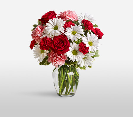 Fetiche-Mixed,Pink,Red,White,Carnation,Chrysanthemum,Mixed Flower,Rose,Arrangement